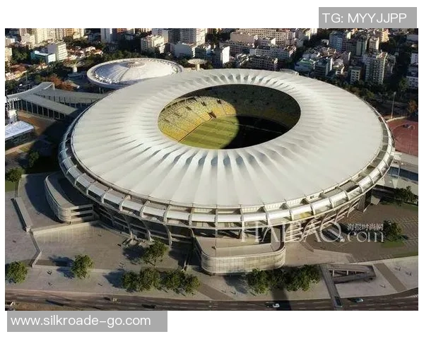 巴西八大足球巨星成就的传奇球场揭秘与历史回顾